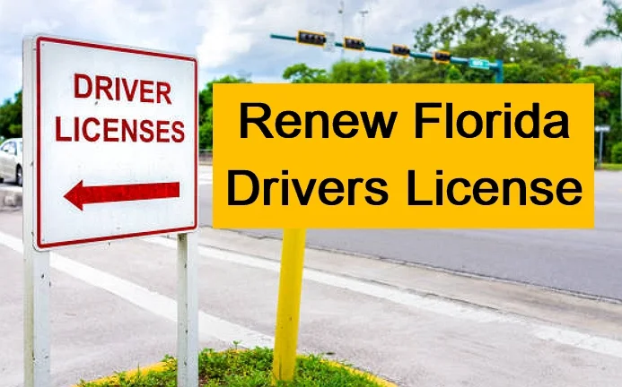 Drivers License Renewal In Florida